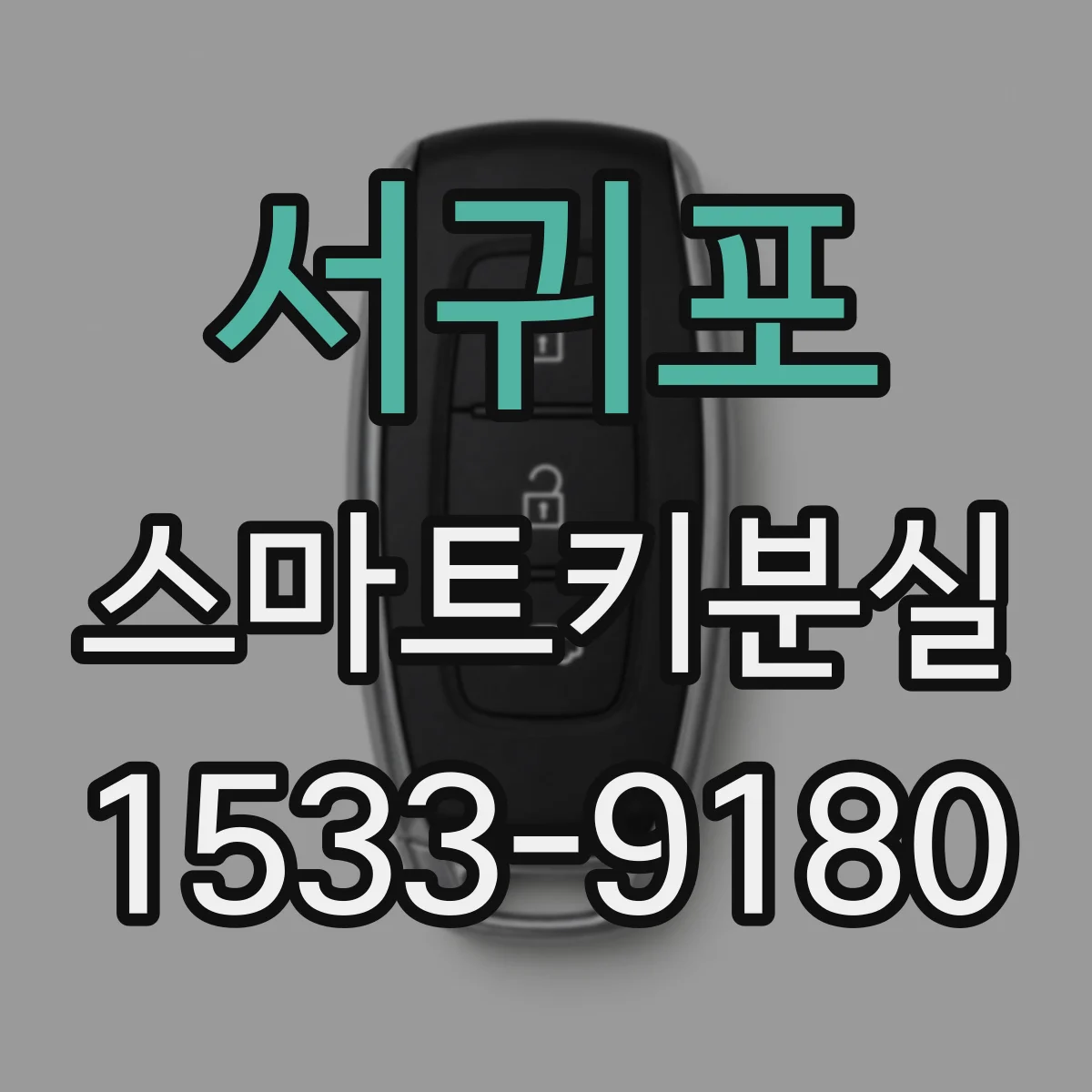 서귀포 스마트키분실
