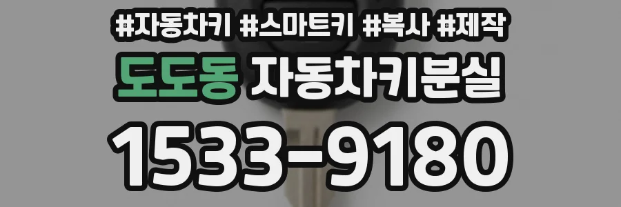 도도동 자동차키분실
