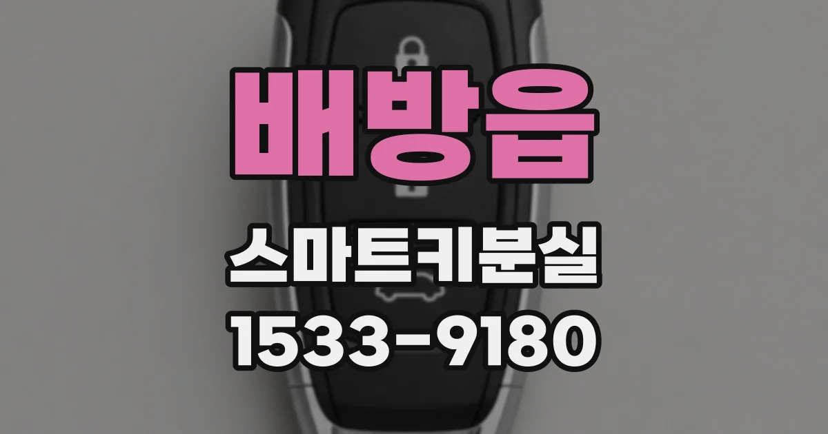 배방읍 스마트키분실