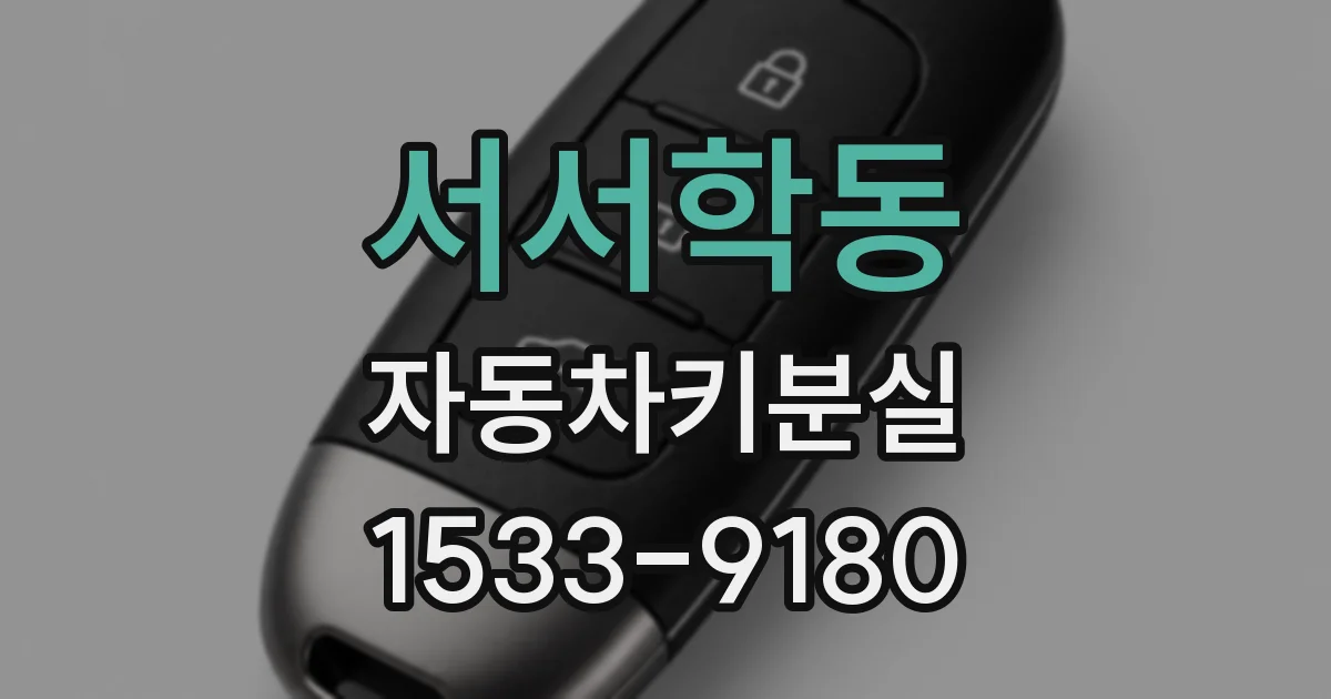 서서학동 자동차키분실