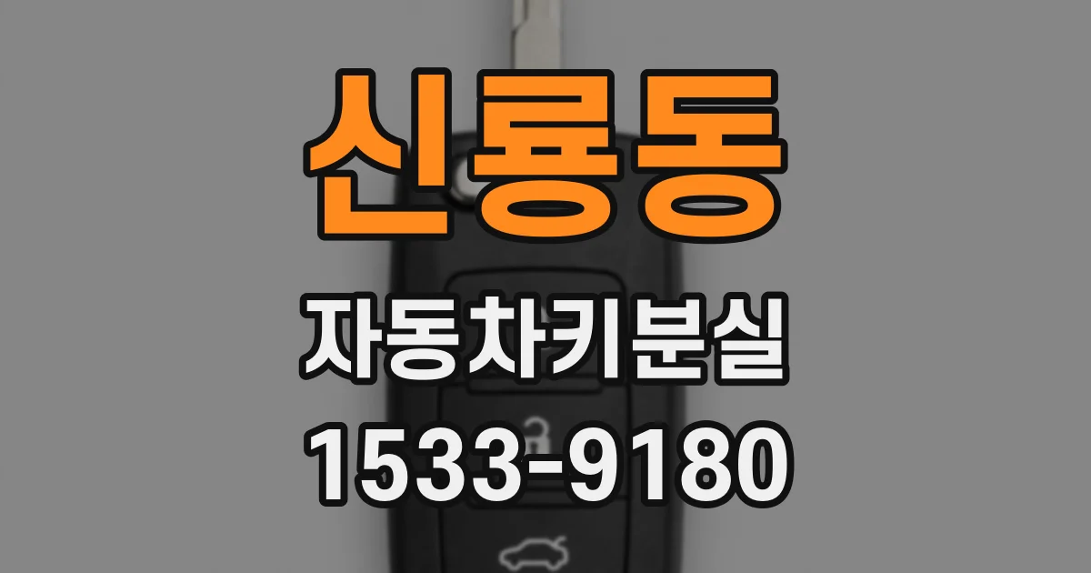 신룡동 자동차키분실