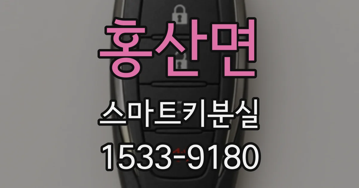 홍산면 스마트키분실