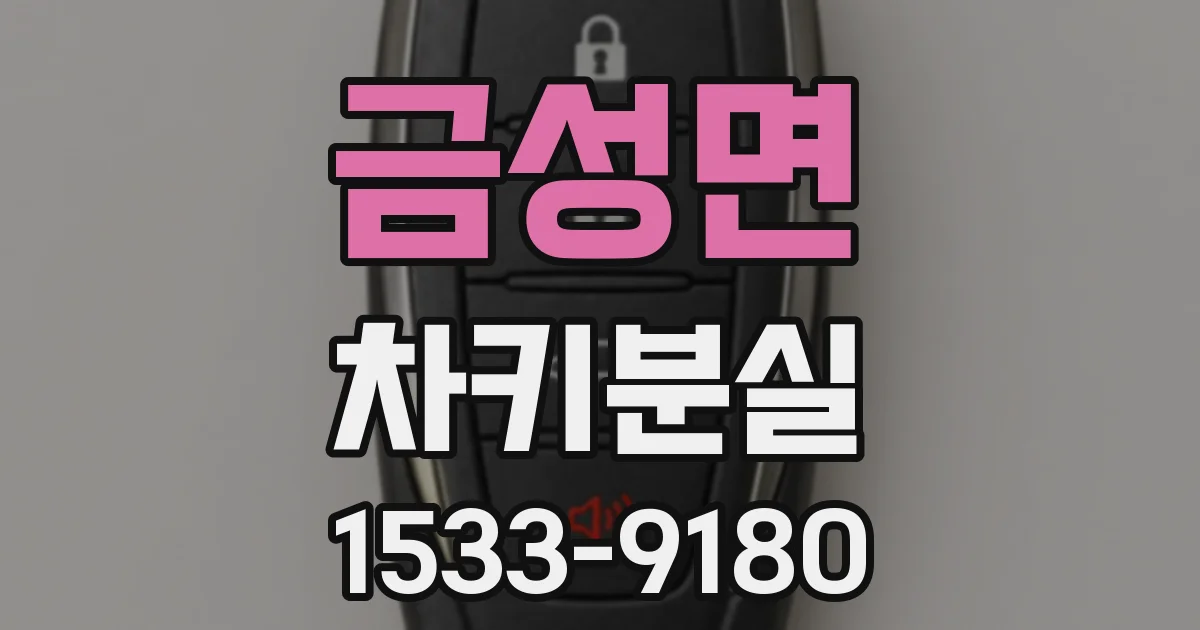 금성면 차키분실