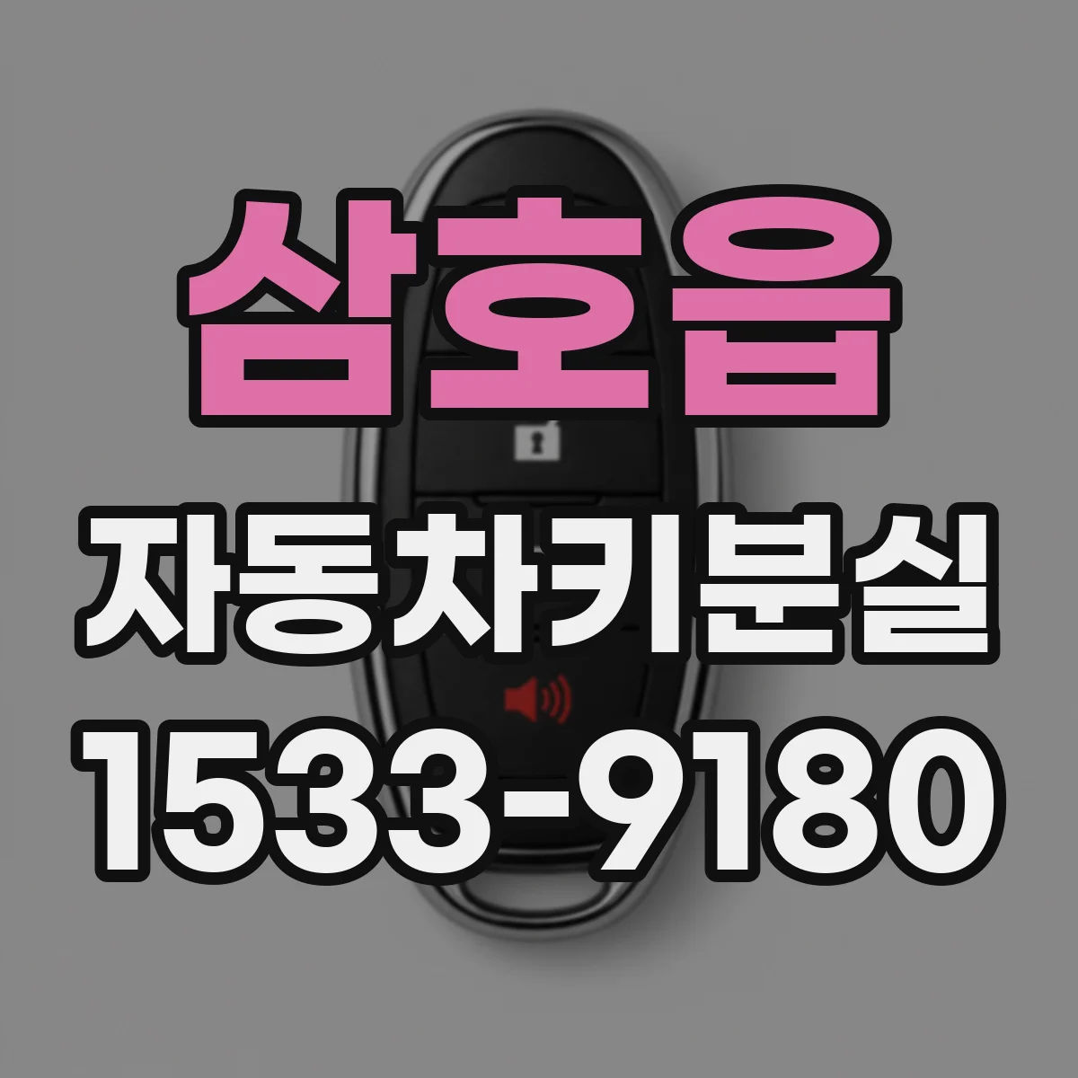 삼호읍 자동차키분실