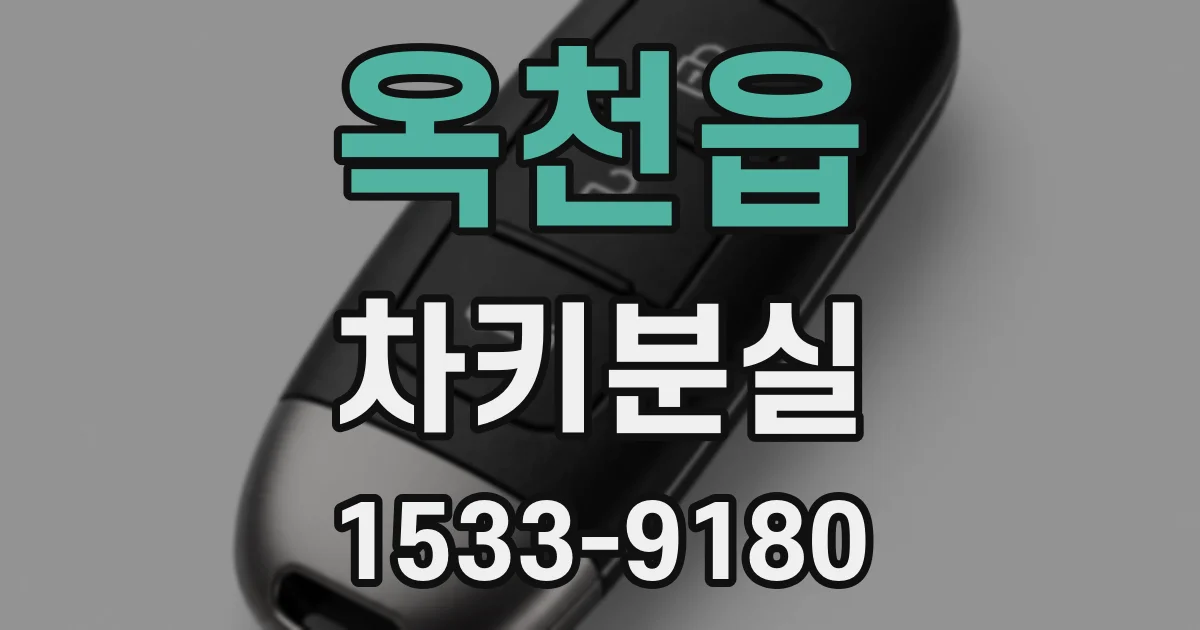 옥천읍 차키분실