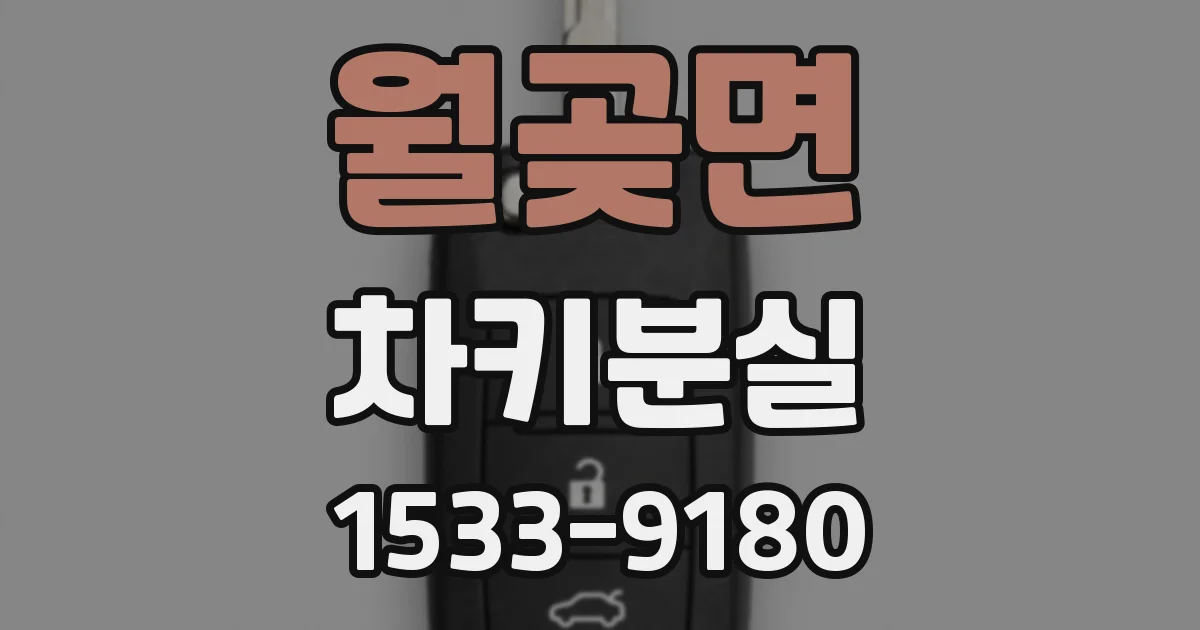 월곶면 차키분실