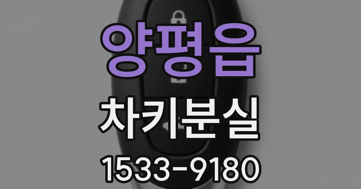 양평읍 차키분실