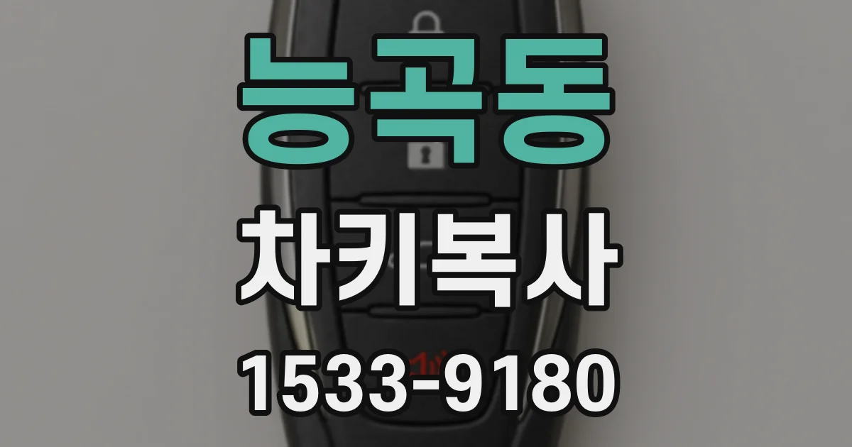 능곡동 차키복사