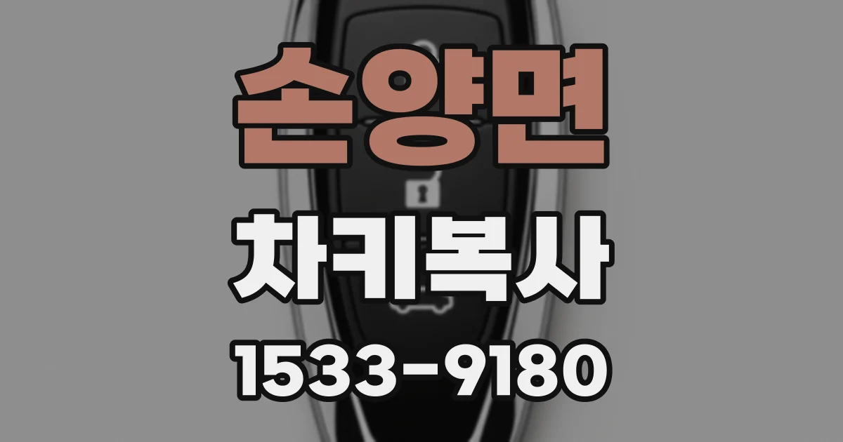 손양면 차키복사