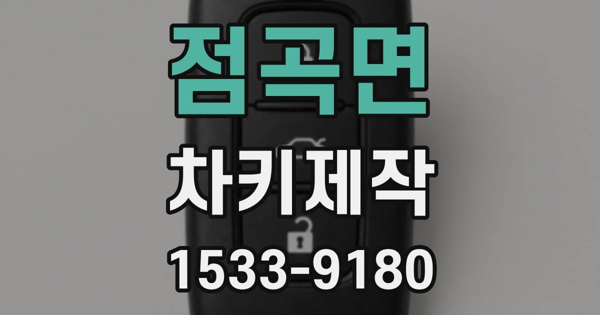 점곡면 차키제작