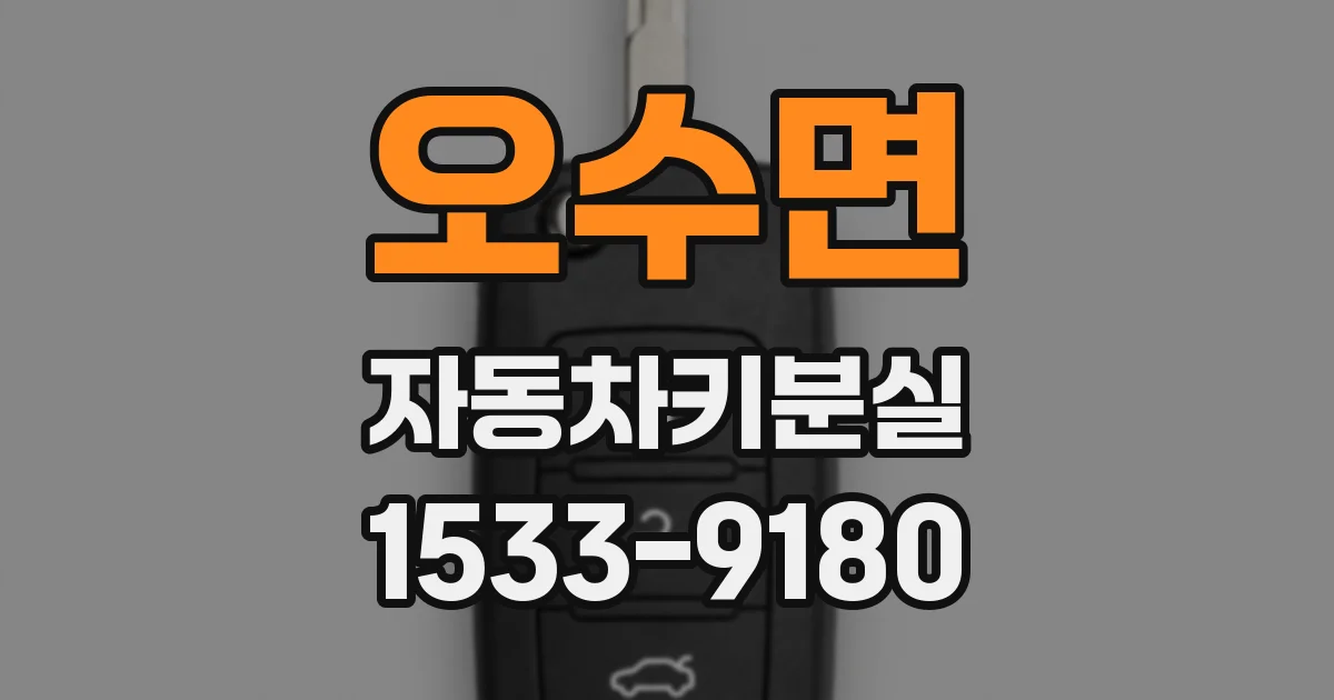 오수면 자동차키분실