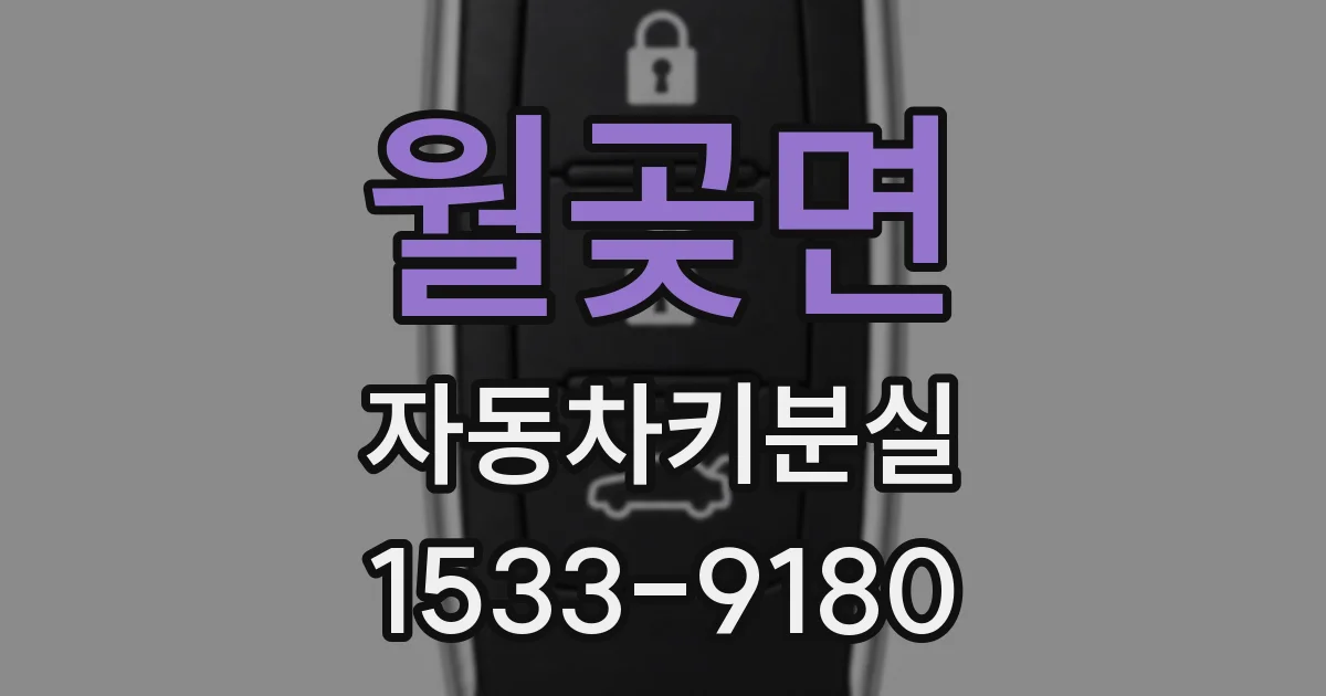 월곶면 자동차키분실
