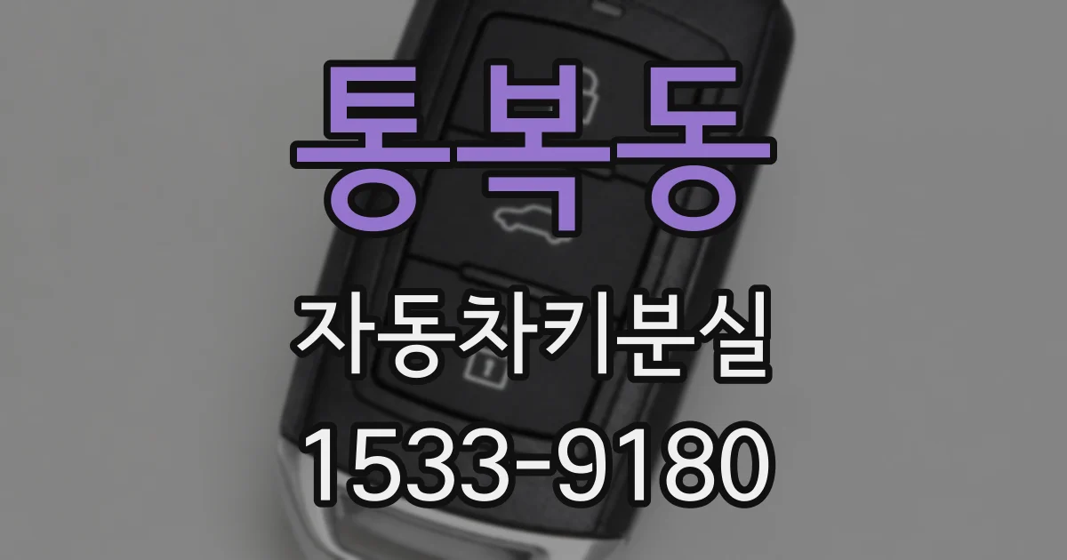 통복동 자동차키분실