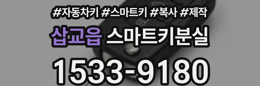 삽교읍 스마트키분실