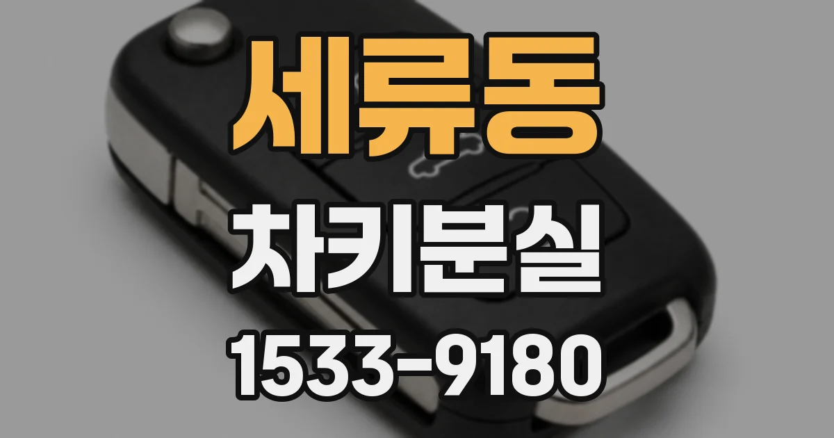 세류동 차키분실