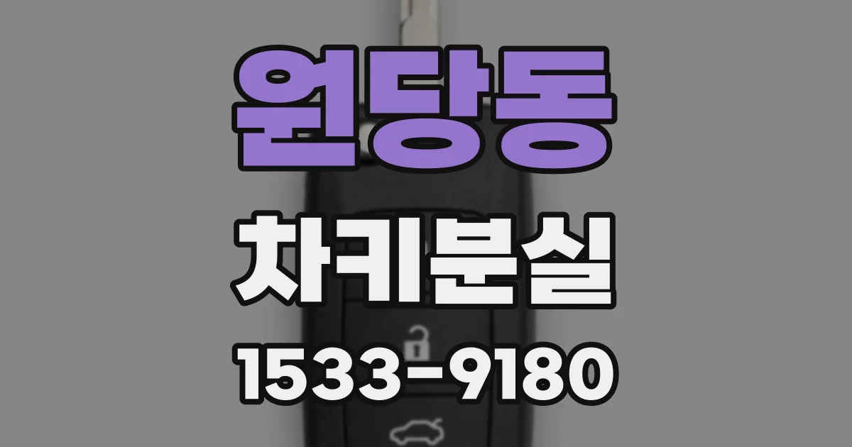 원당동 차키분실