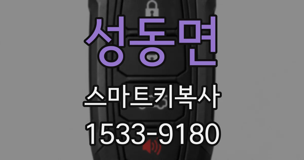 성동면 스마트키복사