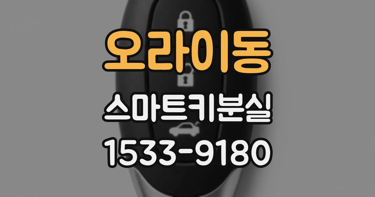 오라이동 스마트키분실