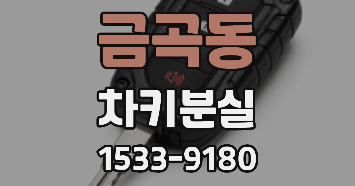 금곡동 차키분실