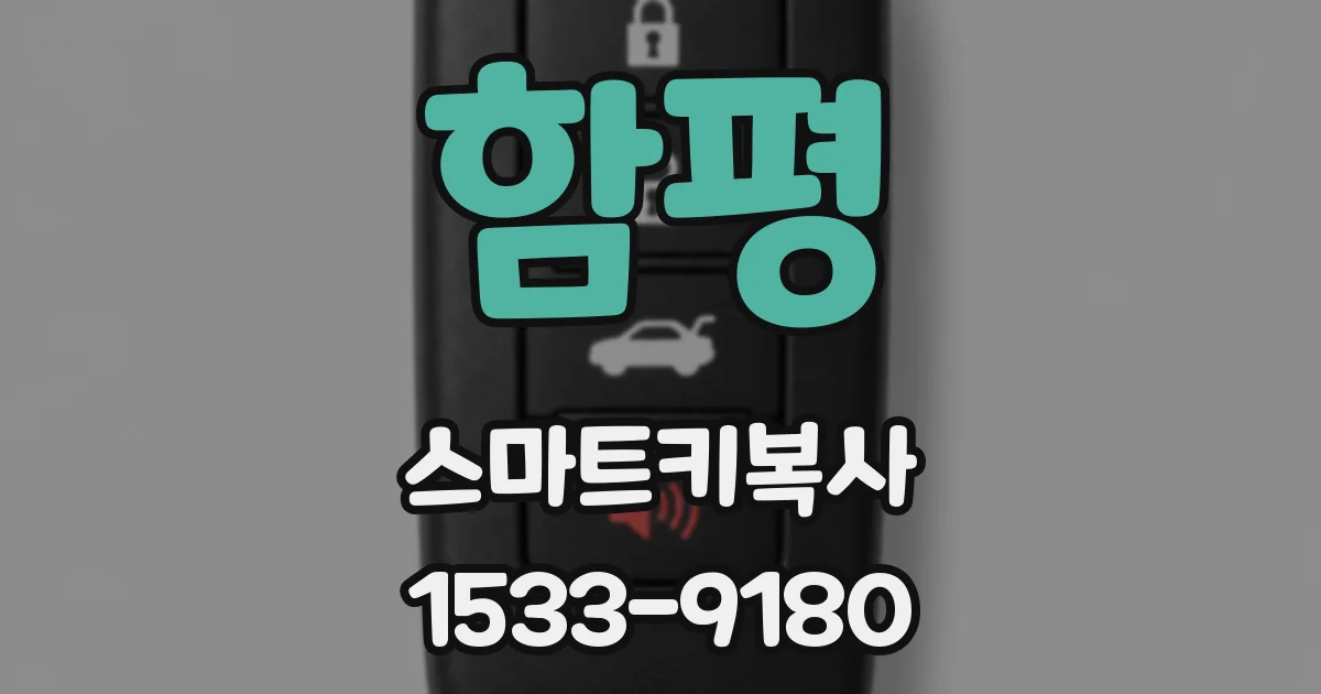 함평 스마트키복사