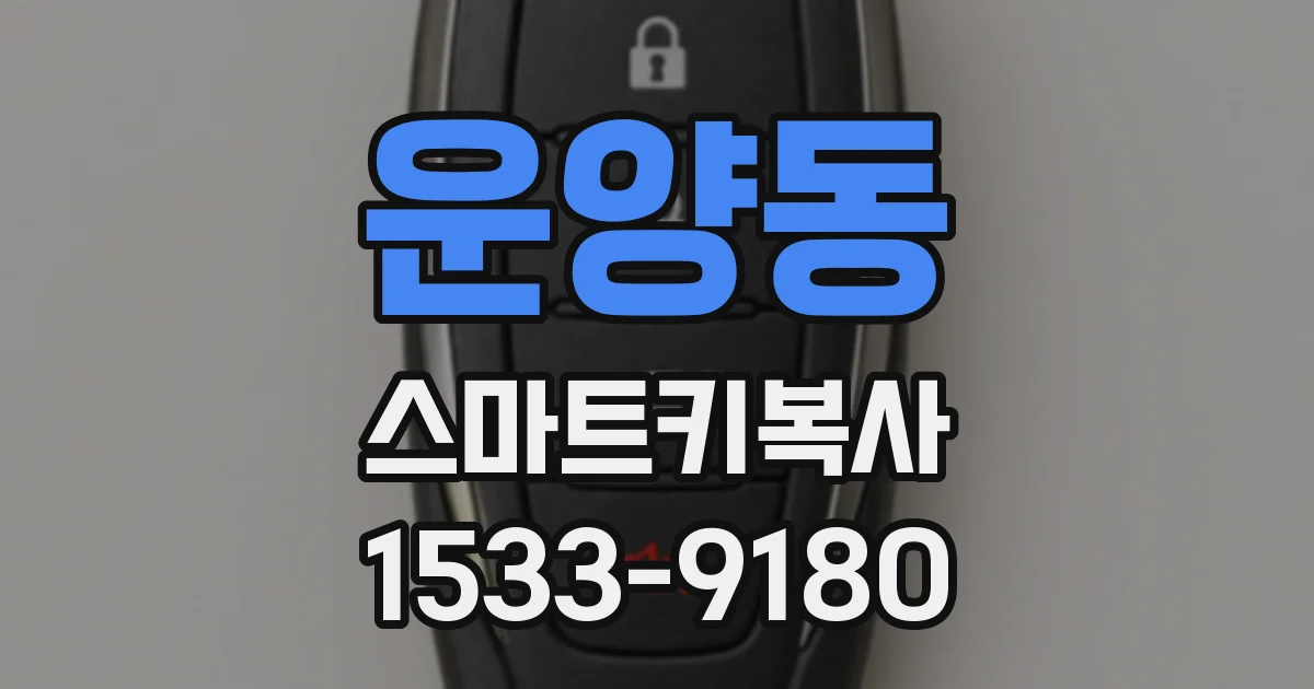 운양동 스마트키복사