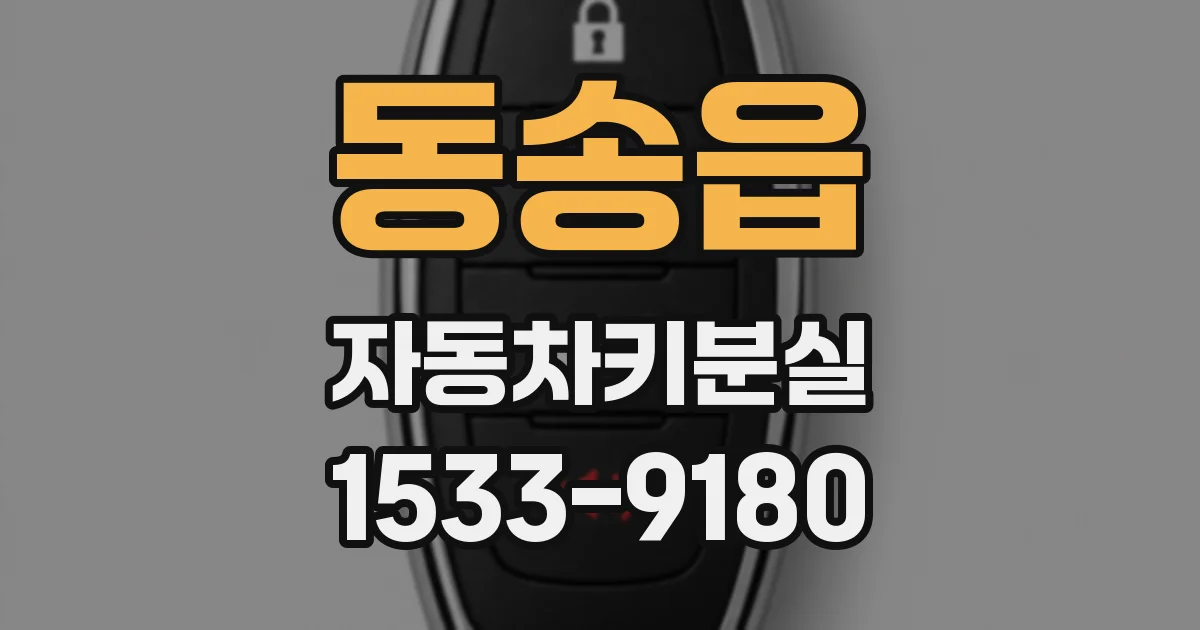 동송읍 자동차키분실