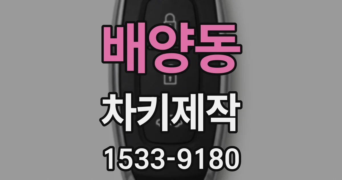 배양동 차키제작