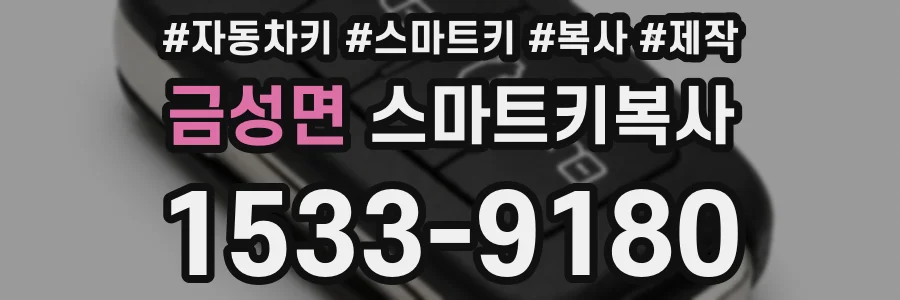 금성면 스마트키복사