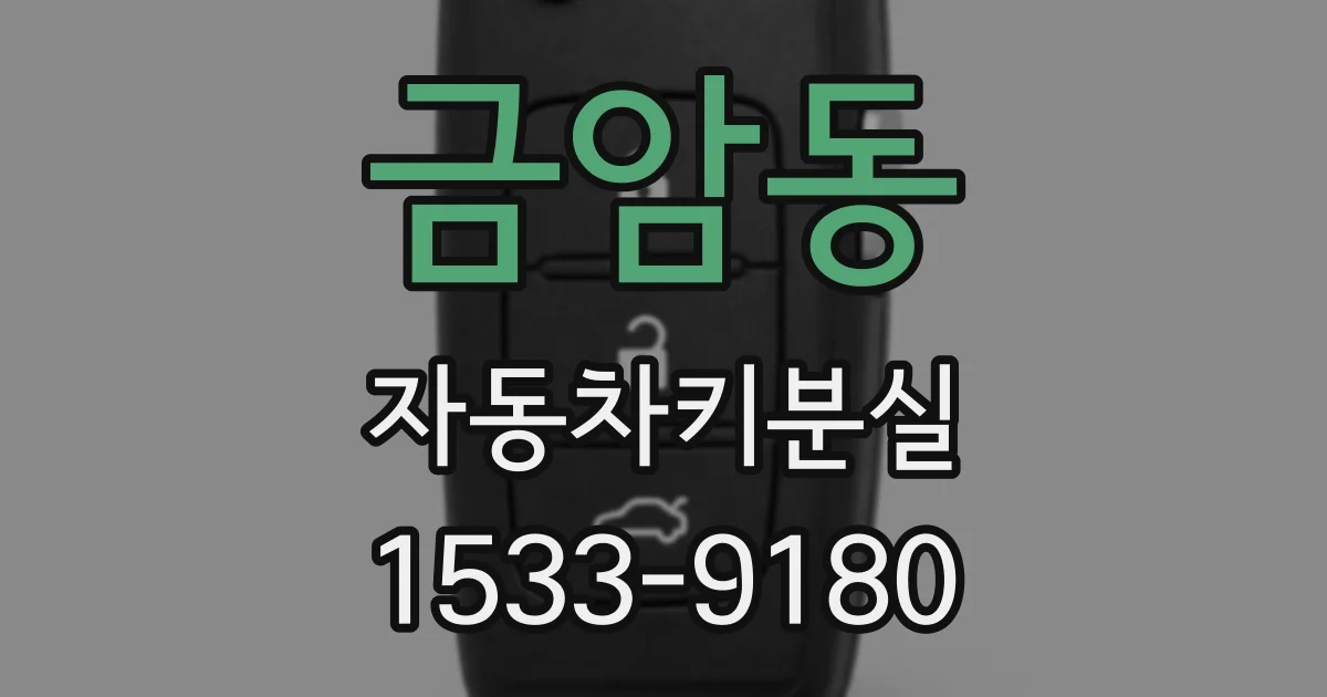 금암동 자동차키분실