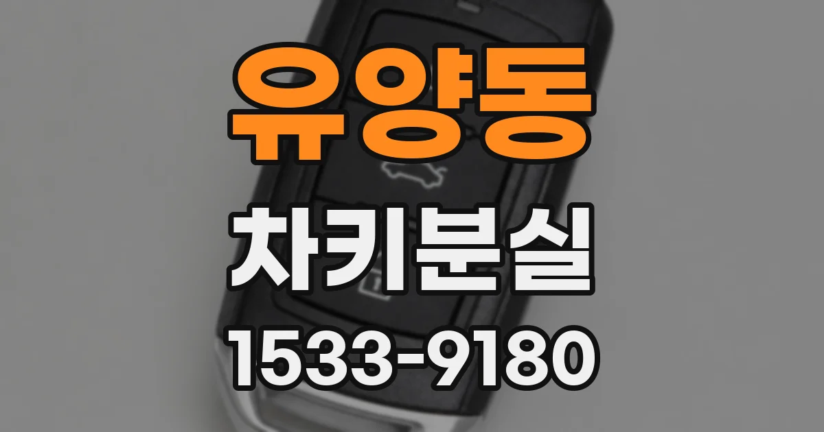 유양동 차키분실