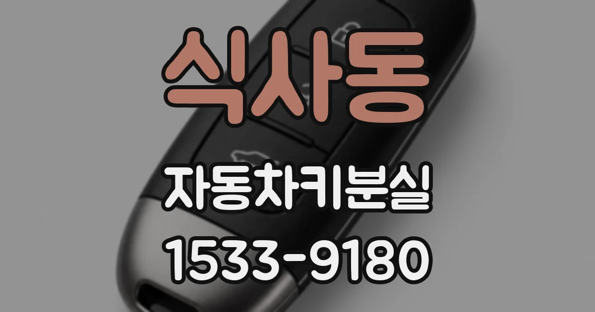 식사동 자동차키분실
