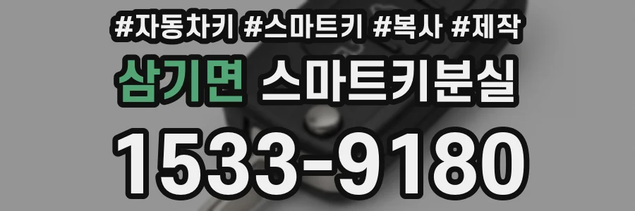 삼기면 스마트키분실