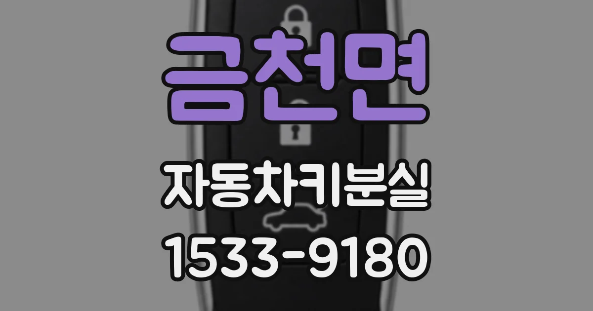 금천면 자동차키분실