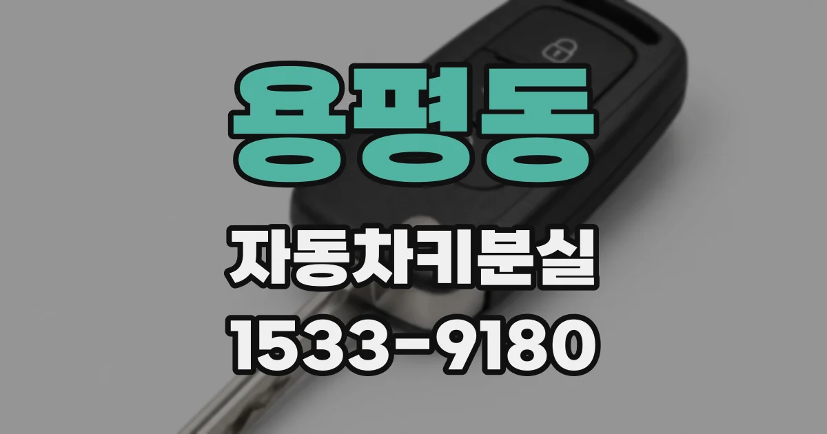 용평동 자동차키분실
