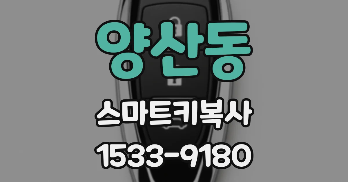 양산동 스마트키복사