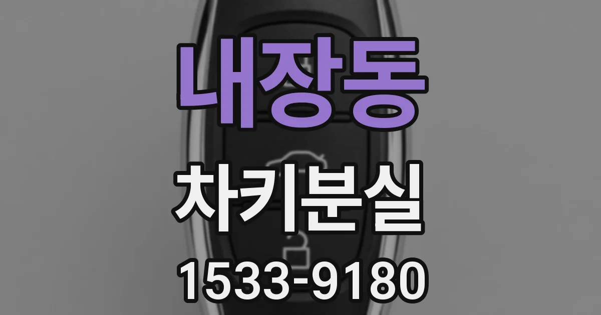 내장동 차키분실