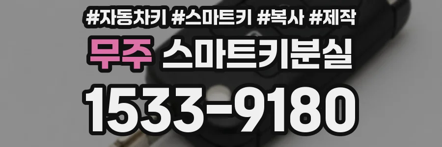무주 스마트키분실
