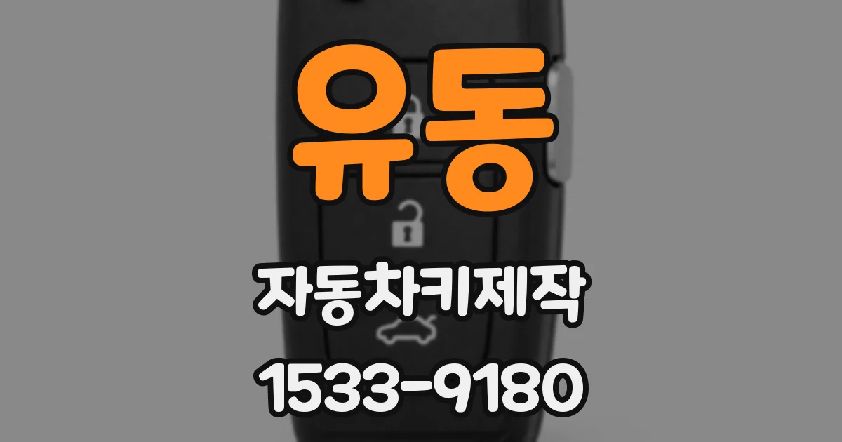 유동 자동차키제작