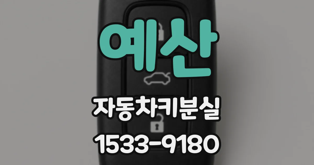 예산 자동차키분실