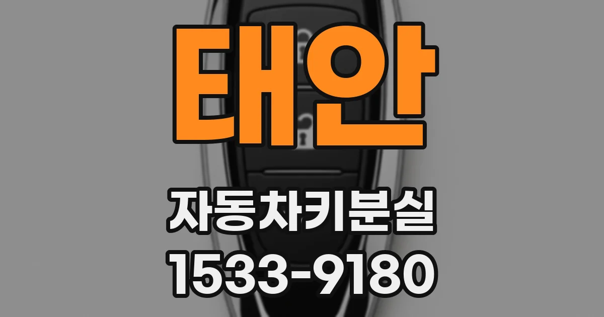 태안 자동차키분실
