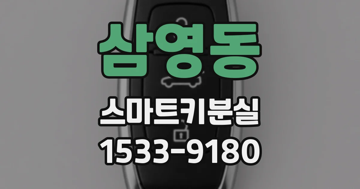 삼영동 스마트키분실