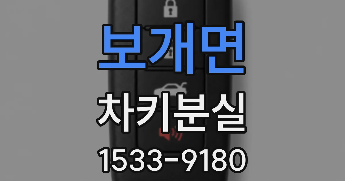 보개면 차키분실