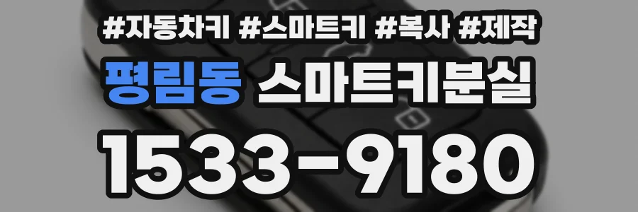 평림동 스마트키분실