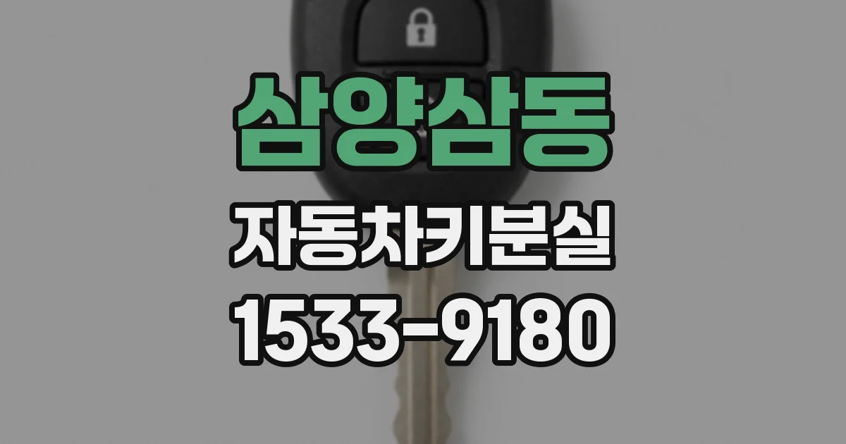 삼양삼동 자동차키분실