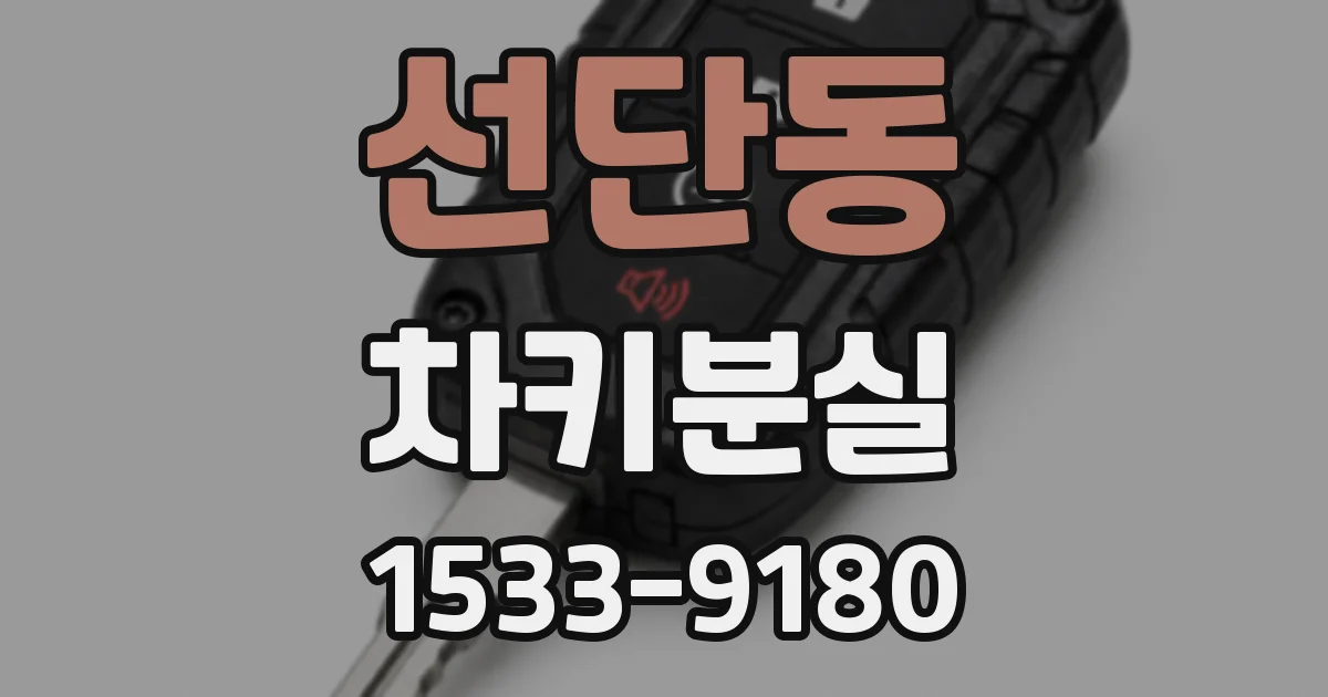 선단동 차키분실
