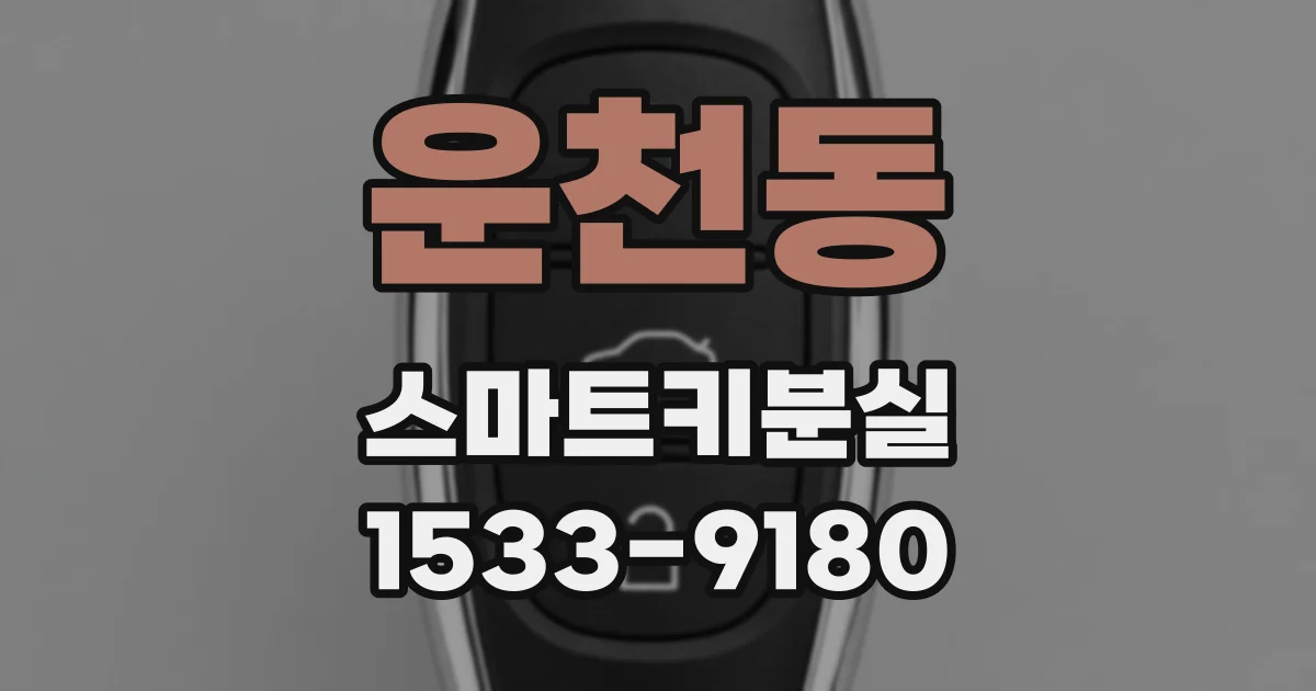 운천동 스마트키분실