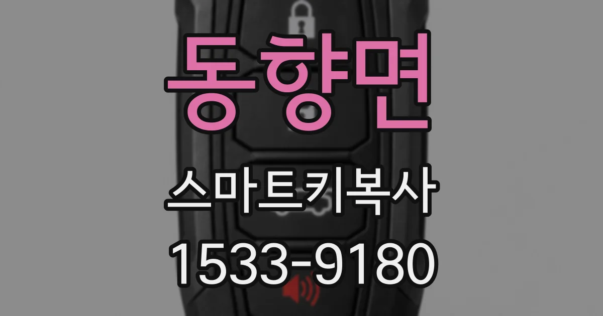 동향면 스마트키복사