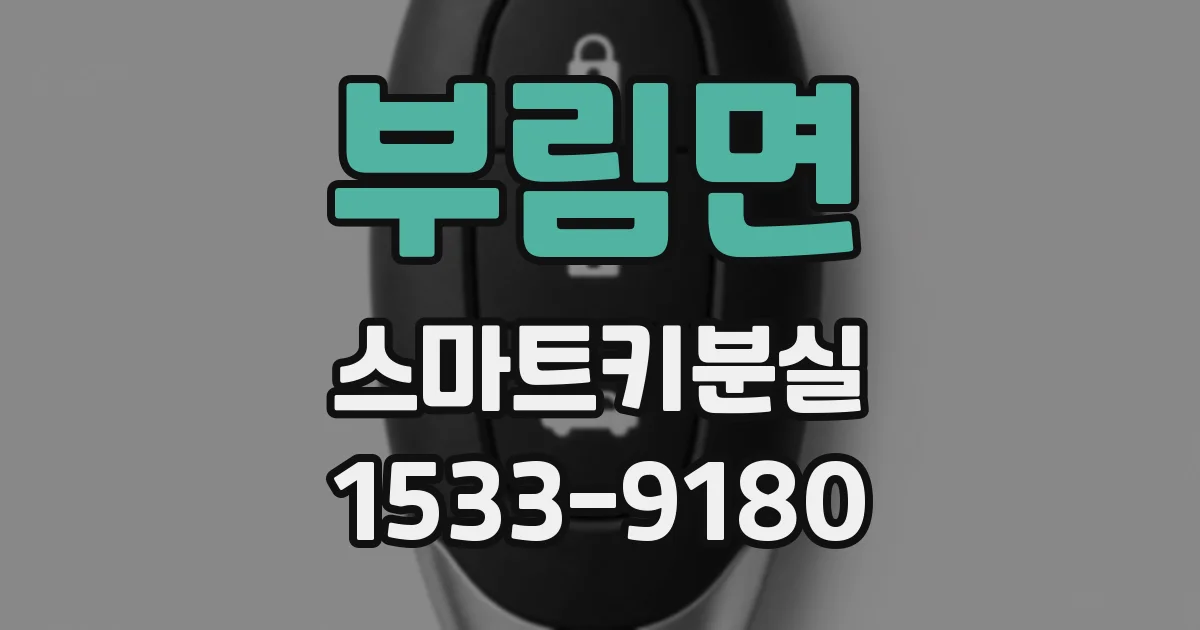 부림면 스마트키분실