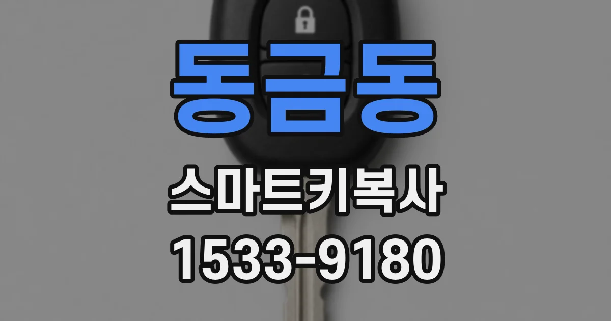동금동 스마트키복사