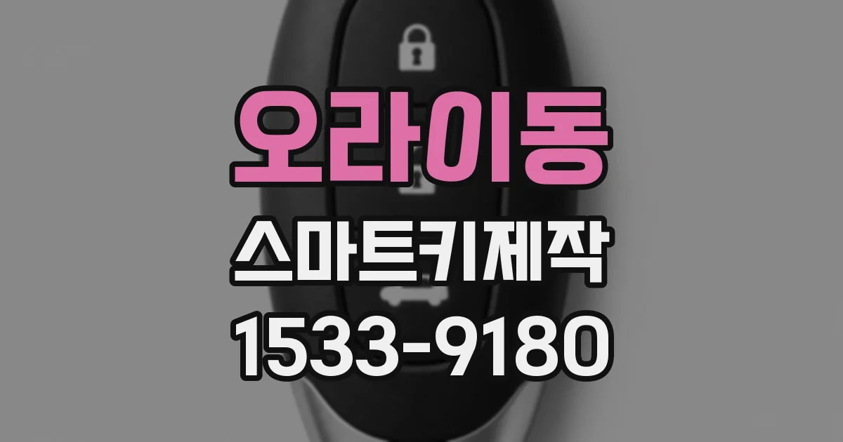 오라이동 스마트키제작